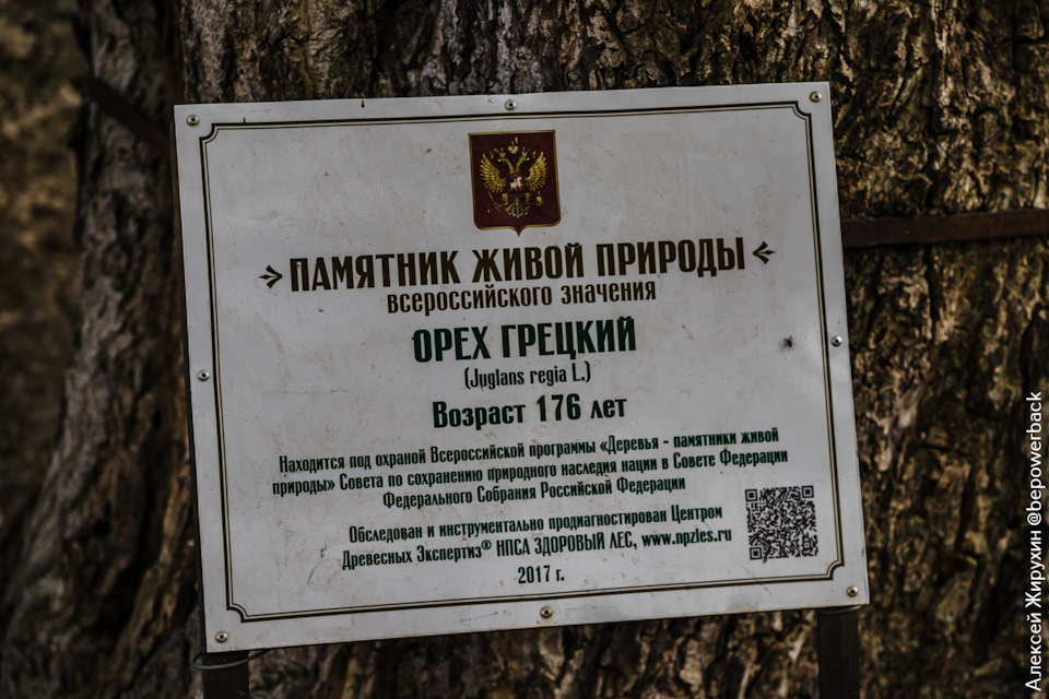 когда снимали кавказскую пленницу в каком году. Bhg4AKh UEDlCbhZrOcupal3iSk 960. когда снимали кавказскую пленницу в каком году фото. когда снимали кавказскую пленницу в каком году-Bhg4AKh UEDlCbhZrOcupal3iSk 960. картинка когда снимали кавказскую пленницу в каком году. картинка Bhg4AKh UEDlCbhZrOcupal3iSk 960. Великий советский режиссёр Лев Кулешов говорил — вовсе не обязательно снимать весь фильм в одном месте. Режиссёр может создавать свои миры, снимая в разных городах попеременно. Такой приём он называл «Творимая земная поверхность».