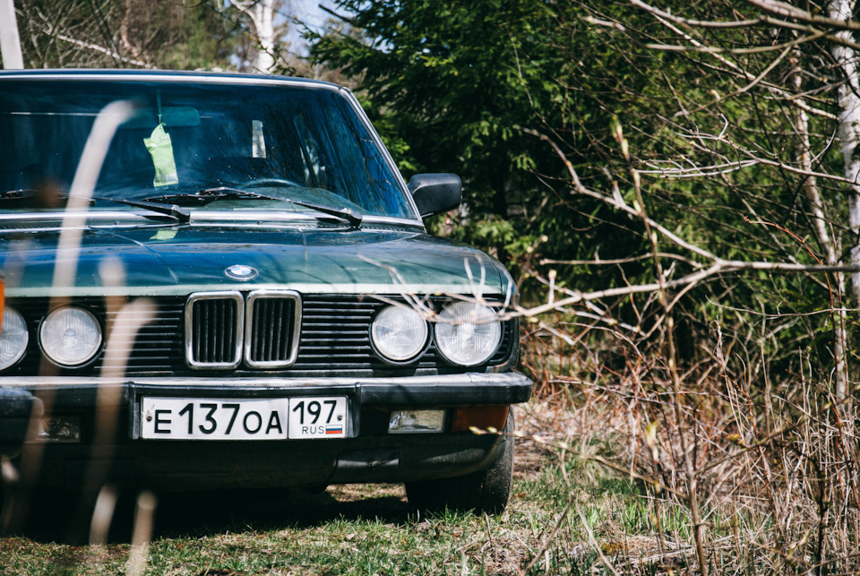 Старая взяла. BMW старенький зелёный. Старая БМВ на местности. БМВ Старая 5 2,8. Старая БМВ изумрудный.