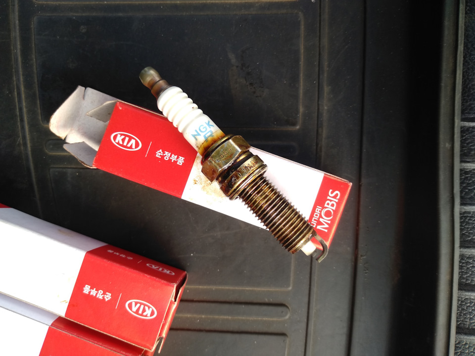 Свеча в масле, в чем может быть причина? — KIA Ceed SW (2G), 1,6 л ...