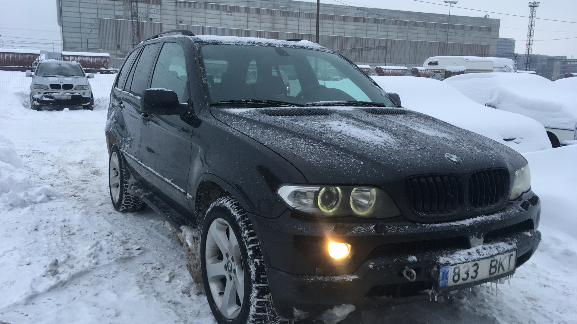 BMW X5 (E53) 3.0 дизельный 2004 | Самец на DRIVE2