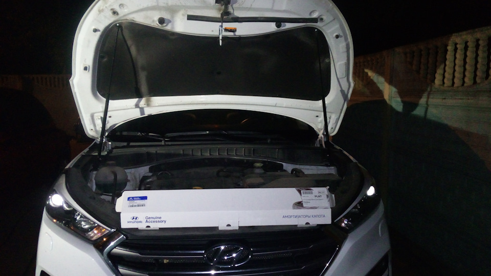 Амортизаторы капота — Hyundai Tucson (TL), 2 л, 2017 года | аксессуары ...