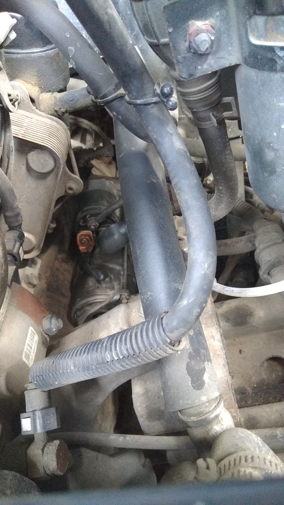 Фото в бортжурнале SsangYong Kyron
