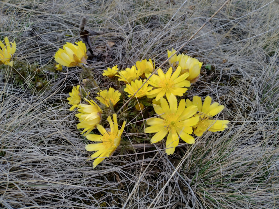 Фото в бортжурнале УАЗ Patriot