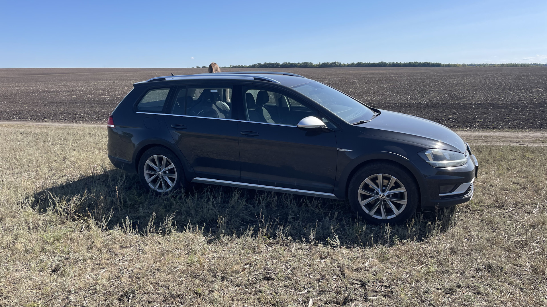 Volkswagen Golf Alltrack (Mk7) 2.0 дизельный 2019 | на DRIVE2