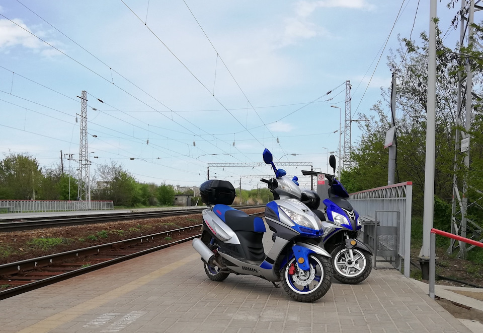 Замена цоколя габаритов — Mercedes-Benz E-class (W210), 2,8 л, 2000 ...