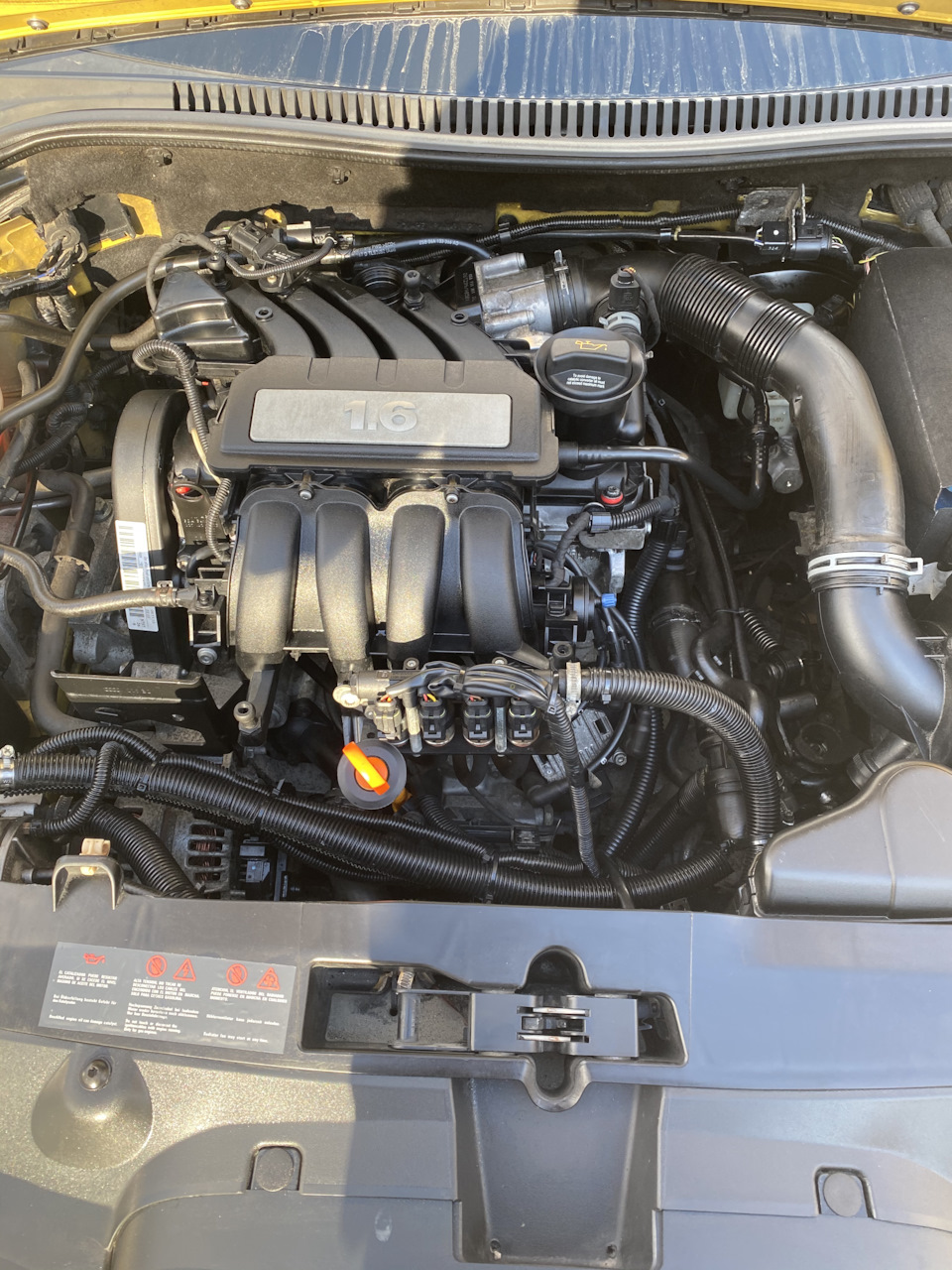 Замена прокладки под клапанной крышкой — SEAT Leon (Mk II), 1,6 л, 2007 ...