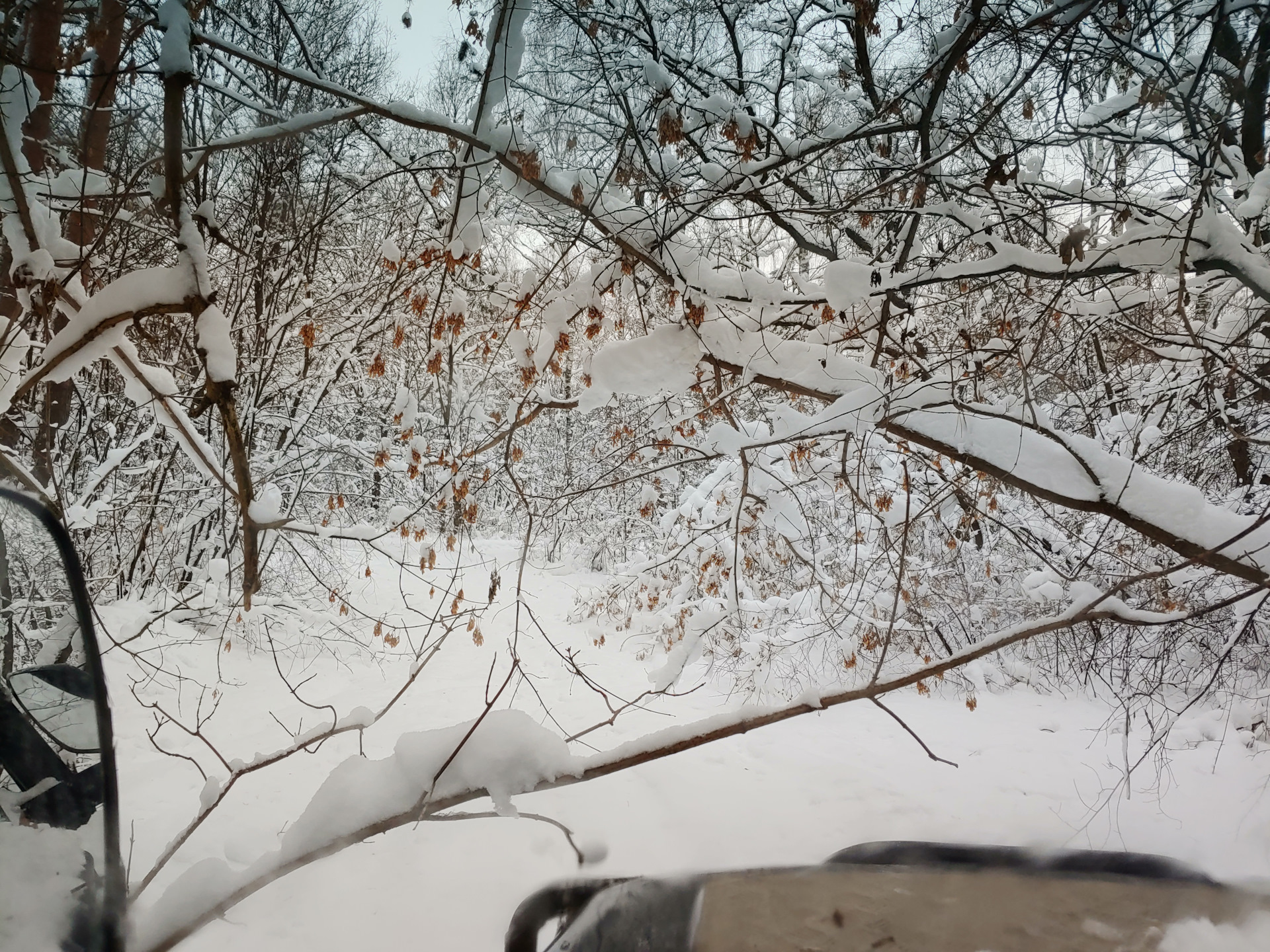 Фото из зимнего леса. Обкатка УАЗ Hanter QD32T — УАЗ 315195 Hunter, 3,2 ...