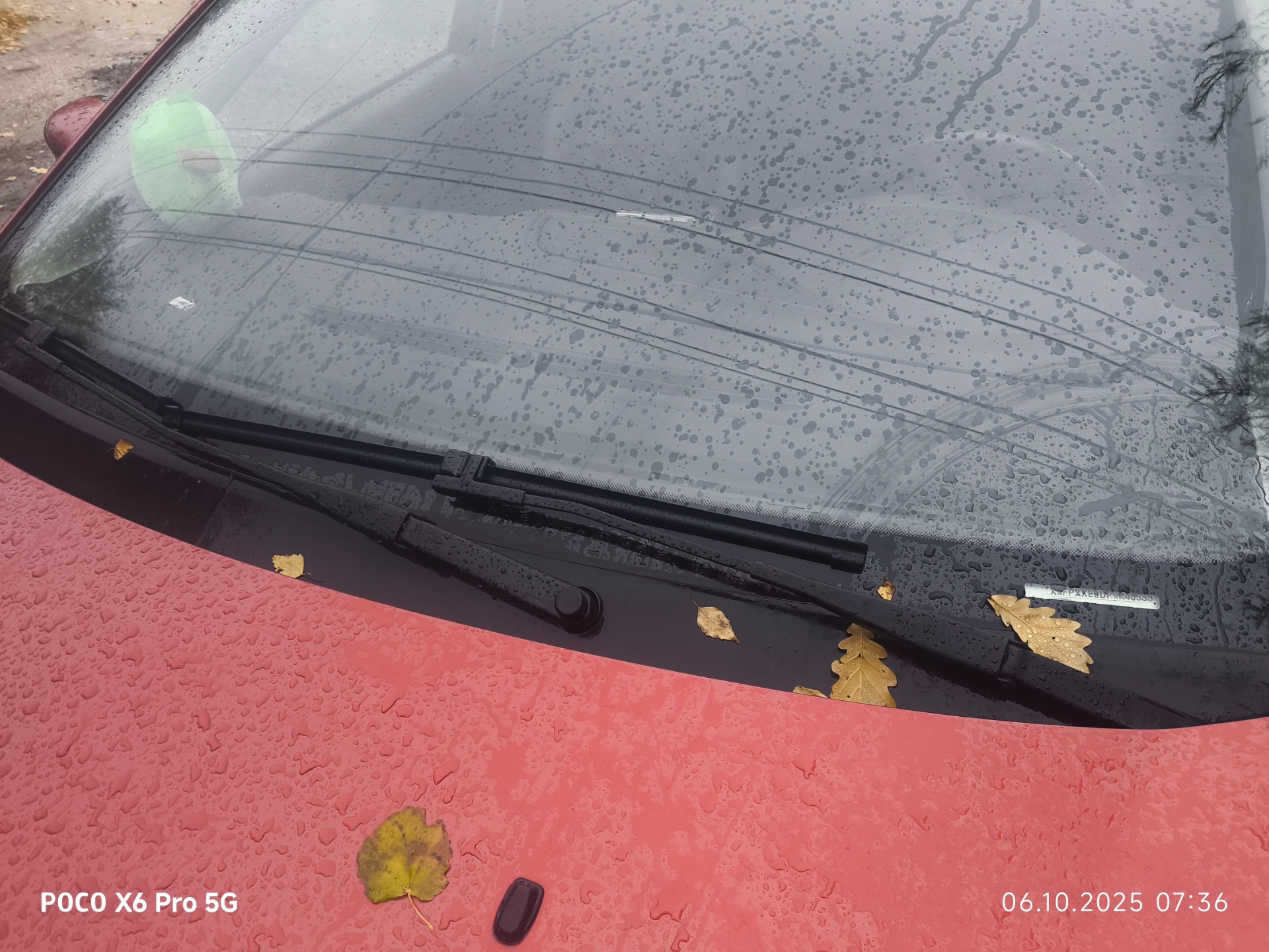 Фото в бортжурнале Ford Focus Hatchback II