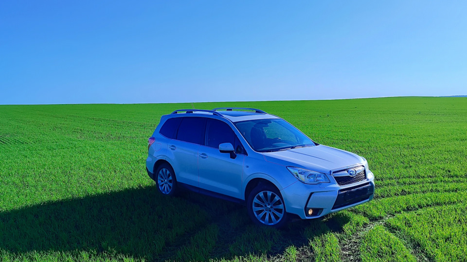 Скрежет, треск при полном повороте руля — Subaru Forester (SJ), 2 л ...