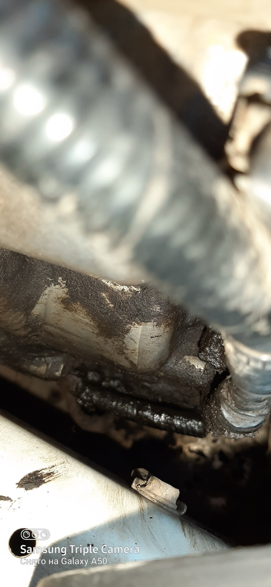 Перелески — DRIVE2