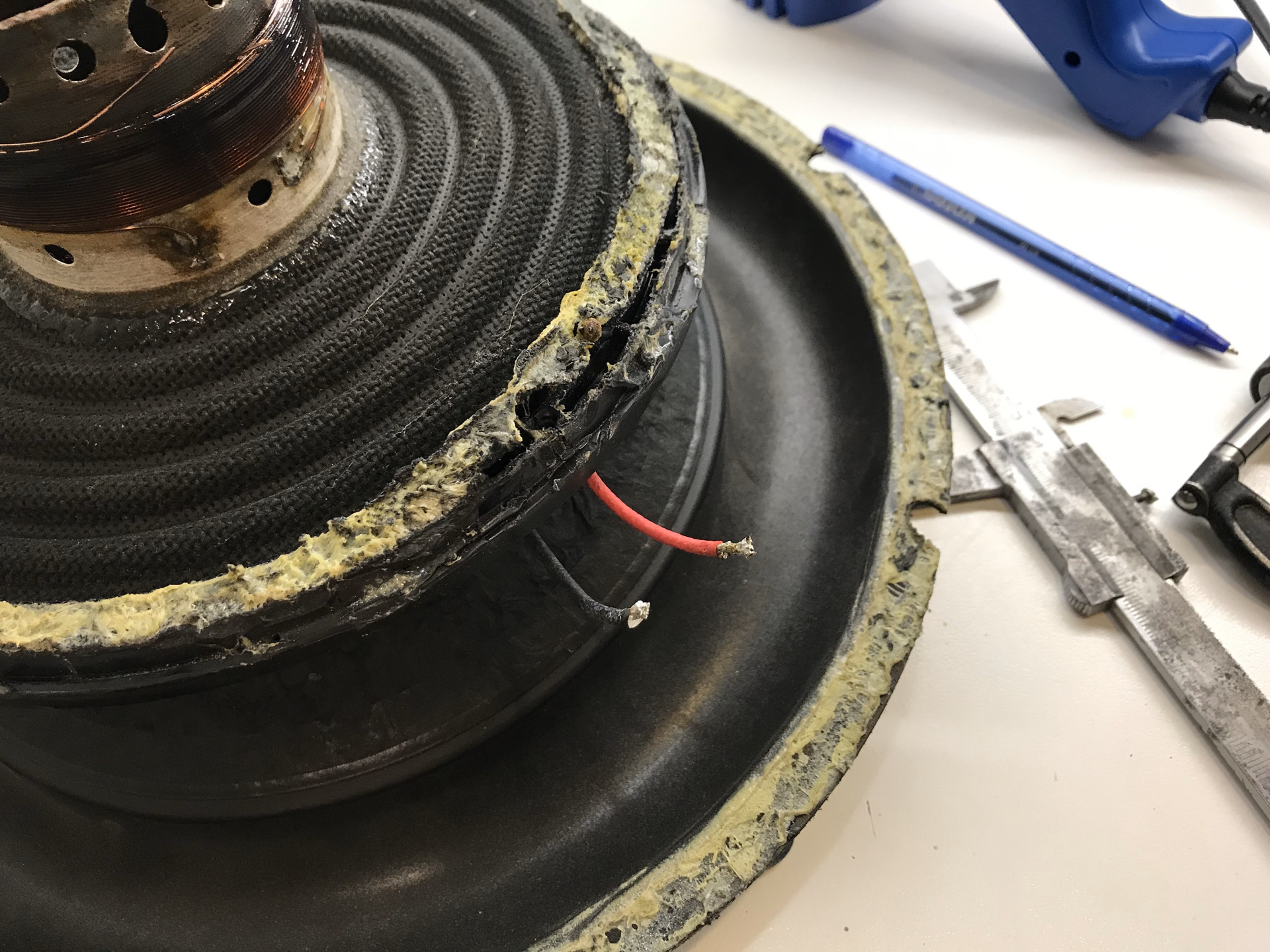 Динамик спорт