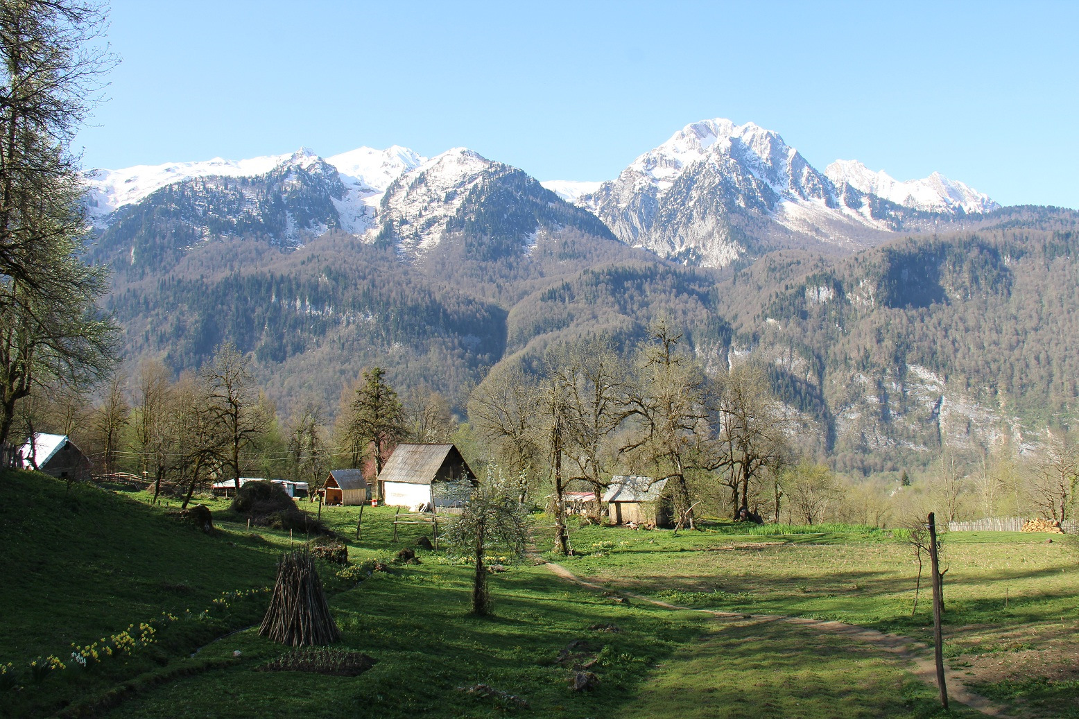 Село псху абхазия фото