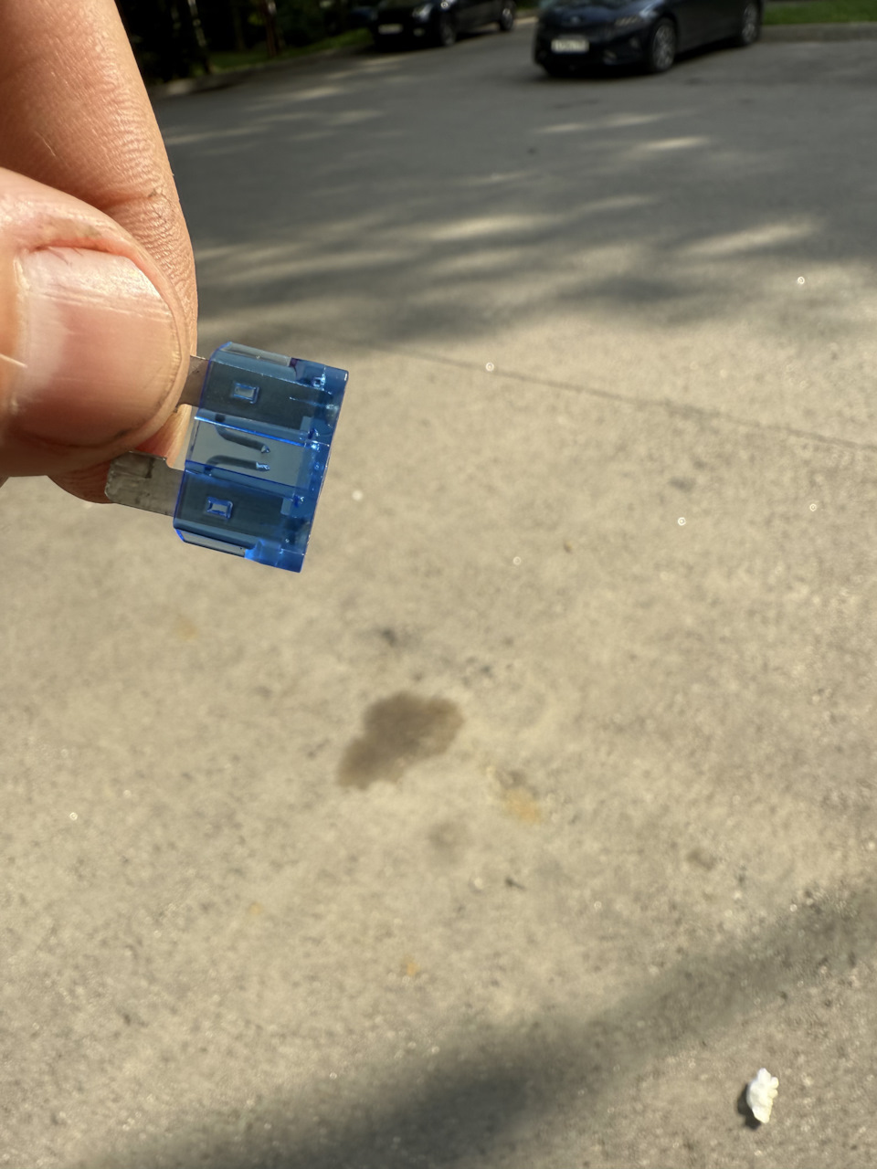 Фото в бортжурнале Skoda Fabia Mk2