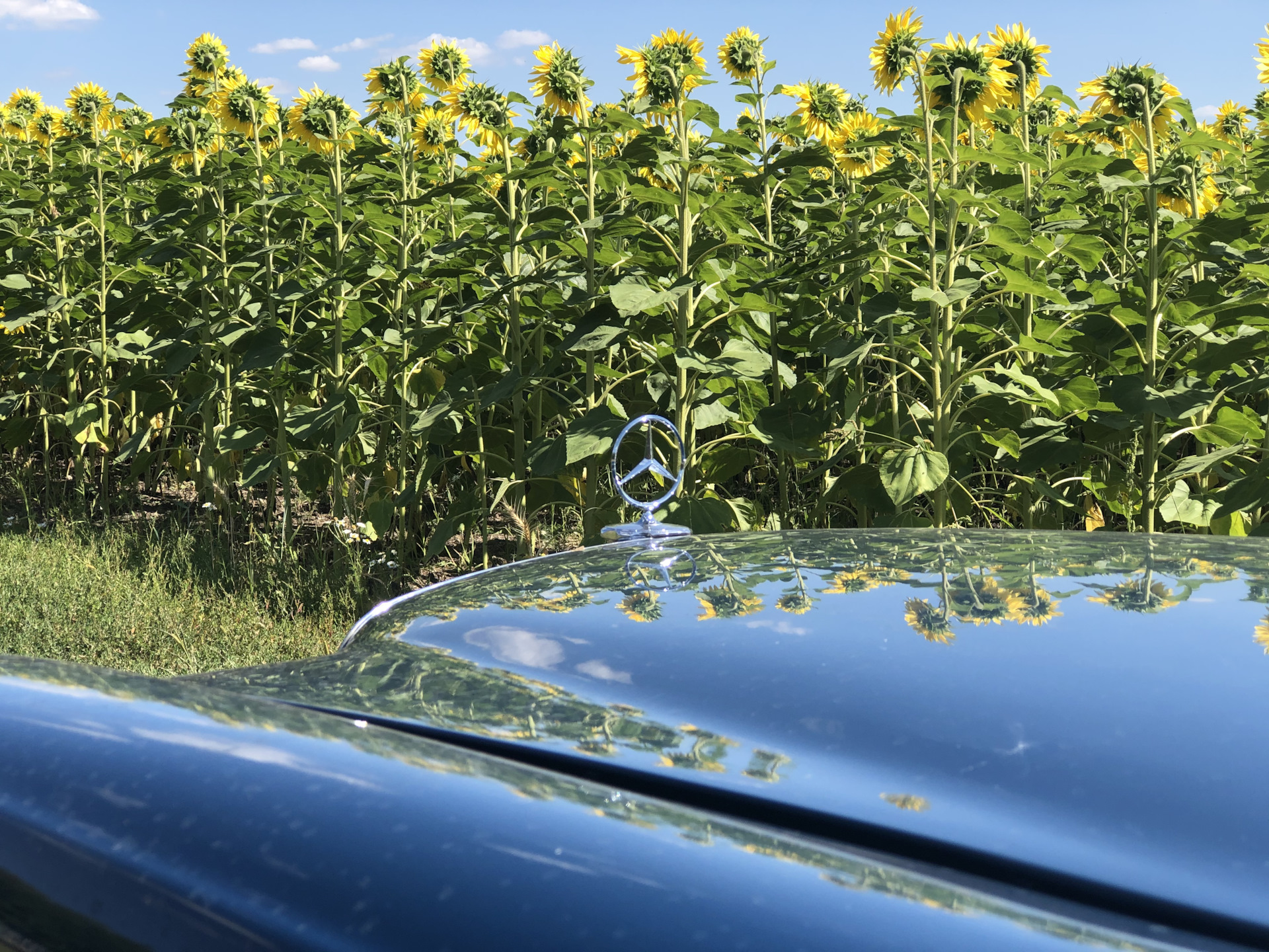  W 115 Mercedes Benz W115 2 2 1973 