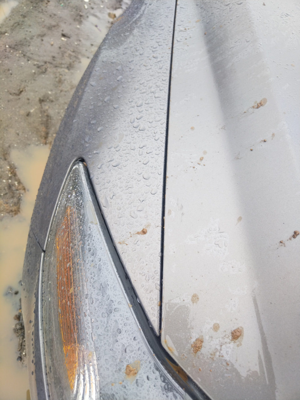 Регулировка зазоров капота — Ford Mondeo IV, 2 л, 2012 года ...