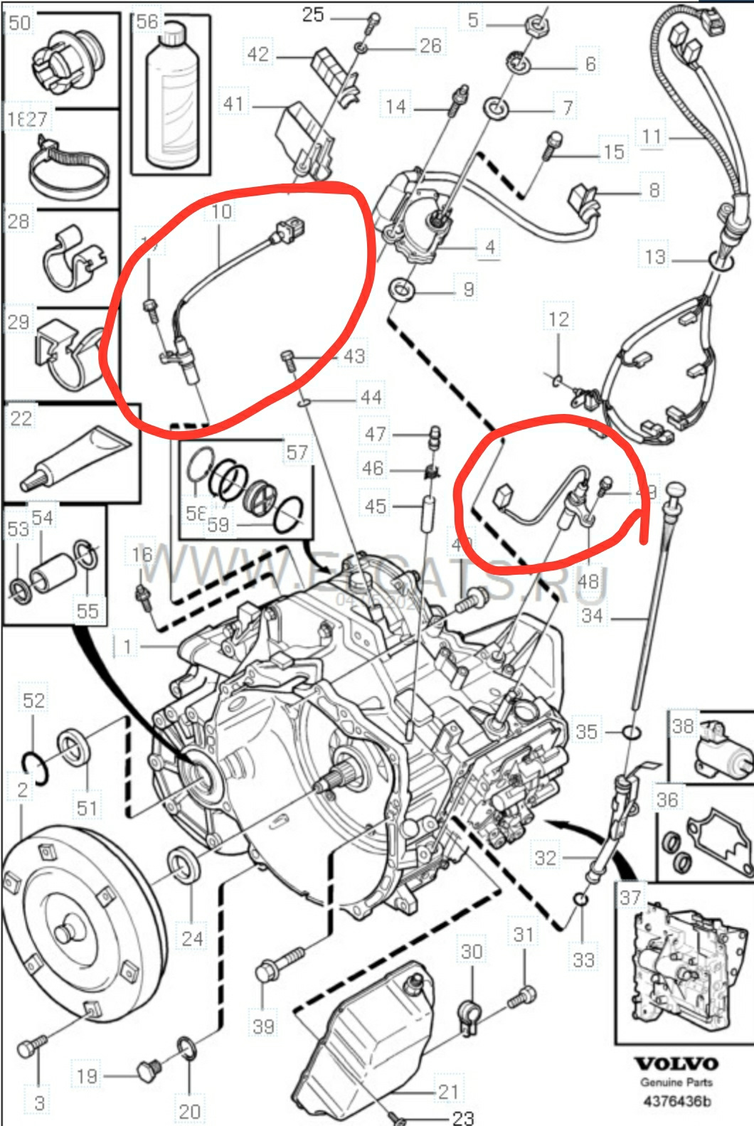 Схема акпп aisin 55 51