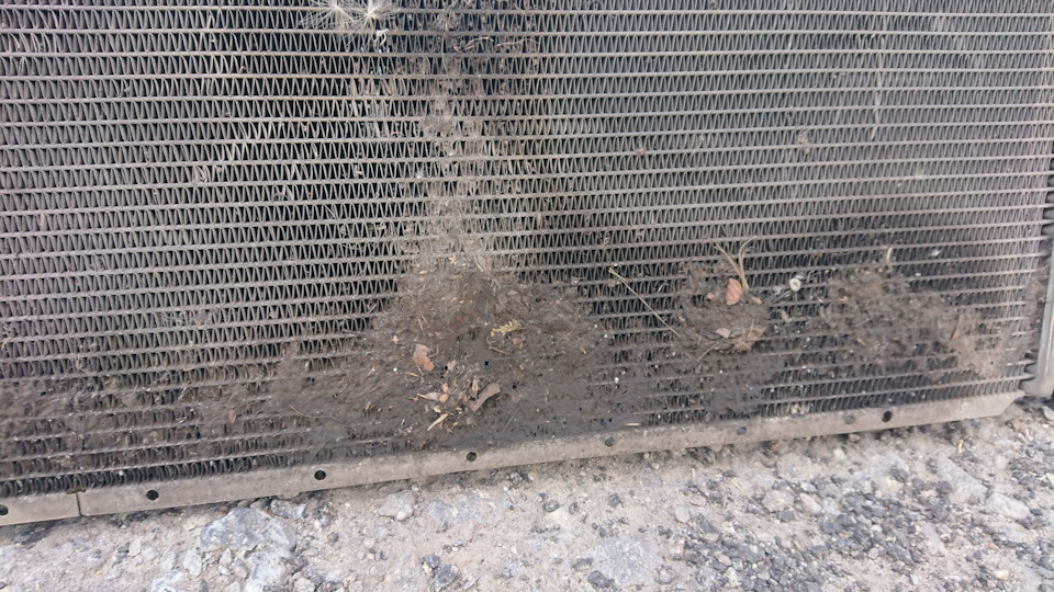 Фото в бортжурнале Ford Expedition (1G)