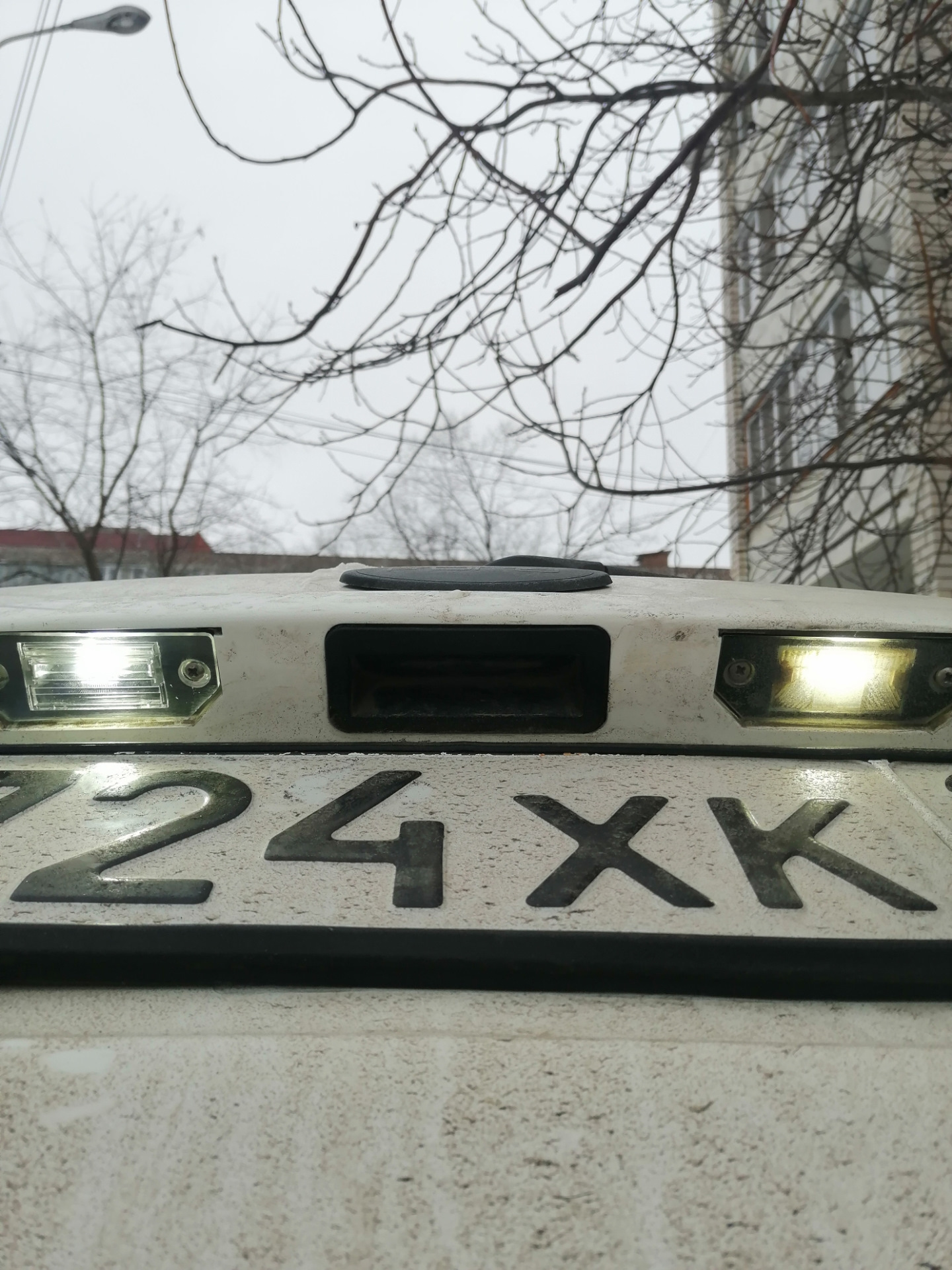 Номера форд фокус. Лампочка номерного знака на Форд фокус 1. Лампочки подсветки номера Форд фокус 1 хэтчбек. Форд фокус 3 хэтчбек лампочка подсветки номера. Лампа подсветки номера Форд фокус 2 хэтчбек.