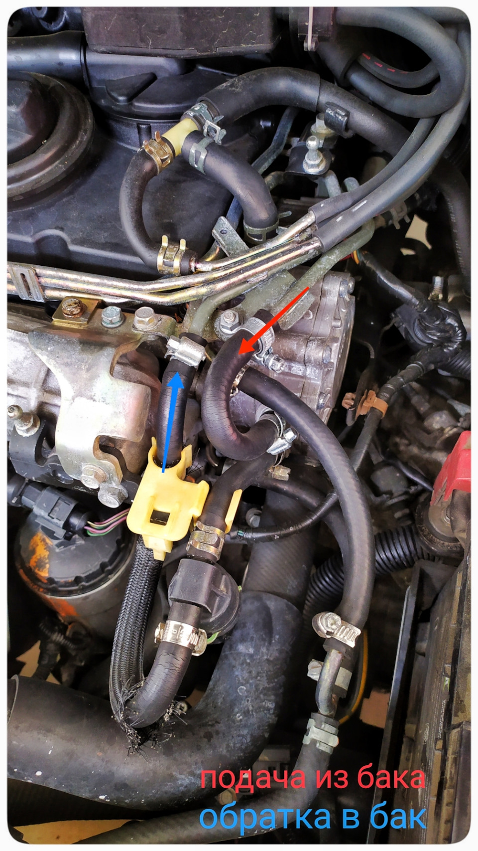 Поближе) — Mitsubishi Grandis