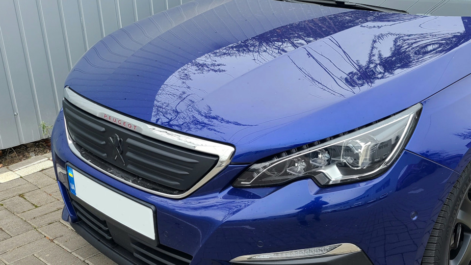 Зимняя заглушка — Peugeot 308 SW (2G), 2 л, 2019 года | аксессуары | DRIVE2