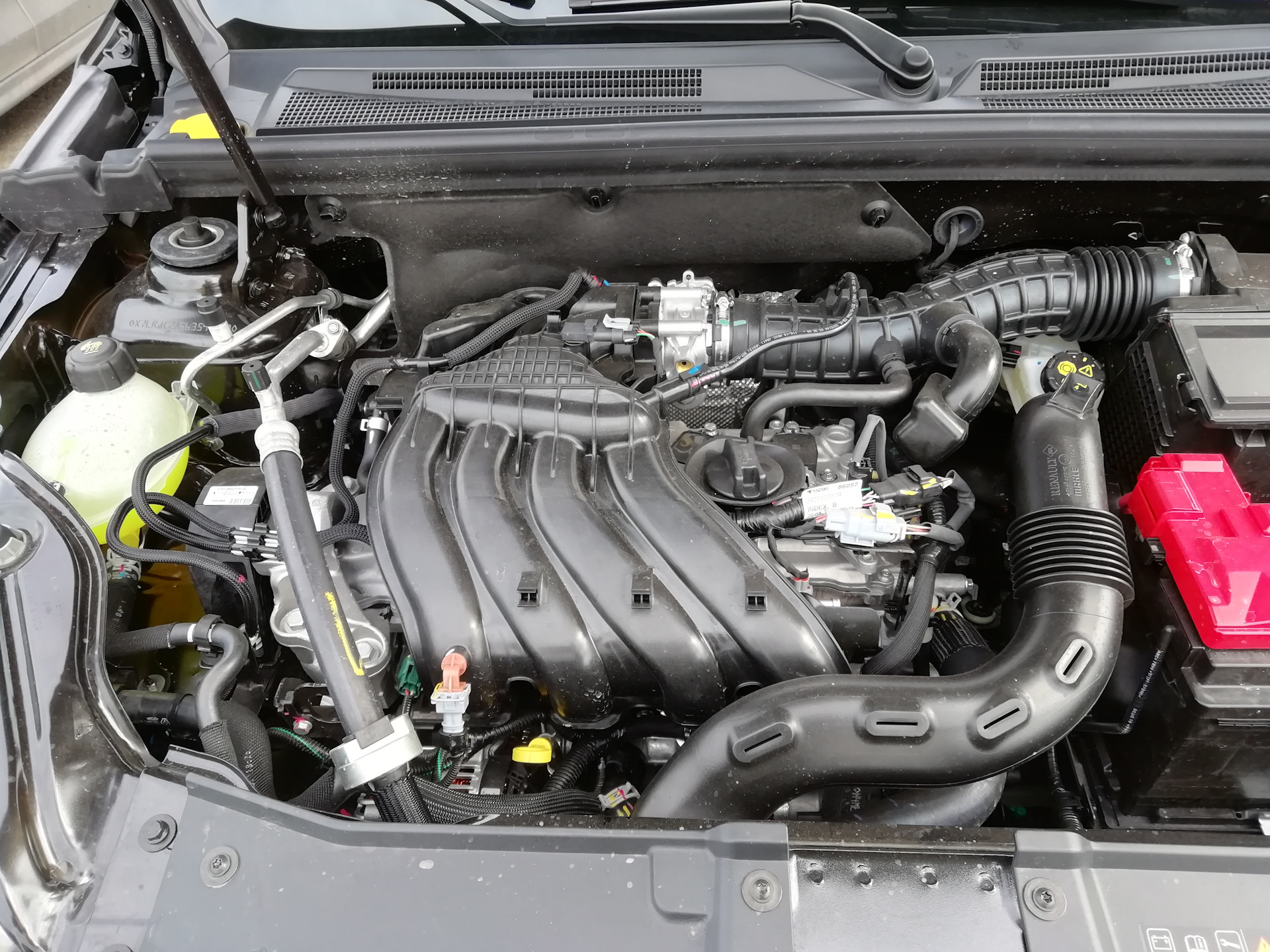 Номер двигателя дастер 2.0. Двигатель Ниссан Террано 1.6. Двигатель Nissan Terrano 2016 год. Nissan Terrano 3 2015 двигатель. Мотор Рено аркана 1.6.