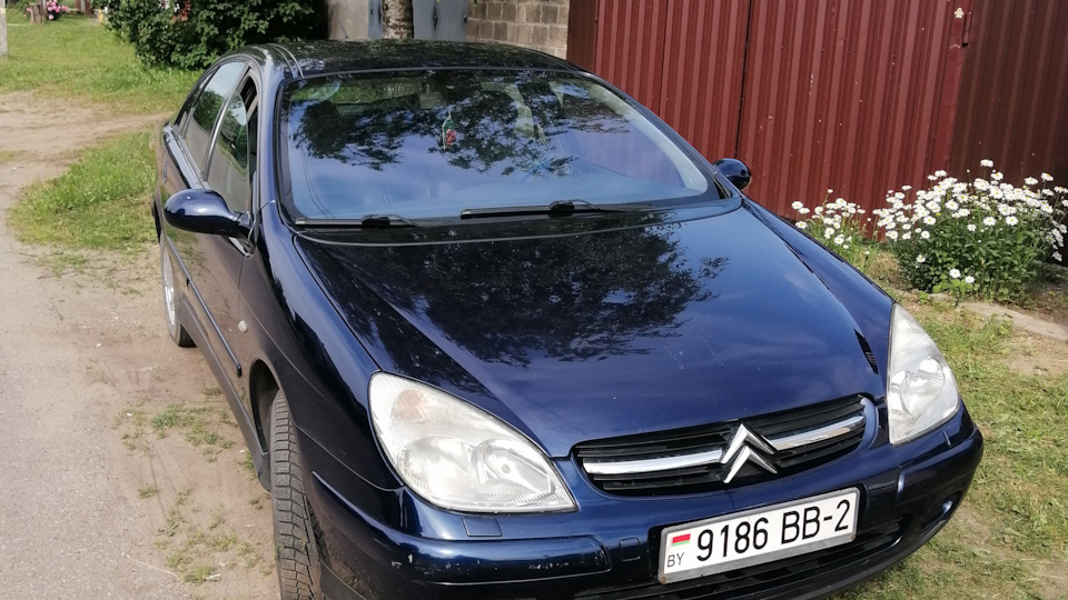 Магнитола — Citroen C5 (1G), 2 л, 2001 года | автозвук | DRIVE2