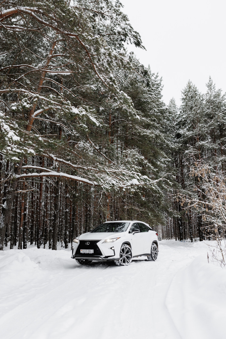 Тонировка, докупил шторку в багажник, и закупился расходниками — Lexus RX  (4G), 2 л, 2019 года | просто так | DRIVE2