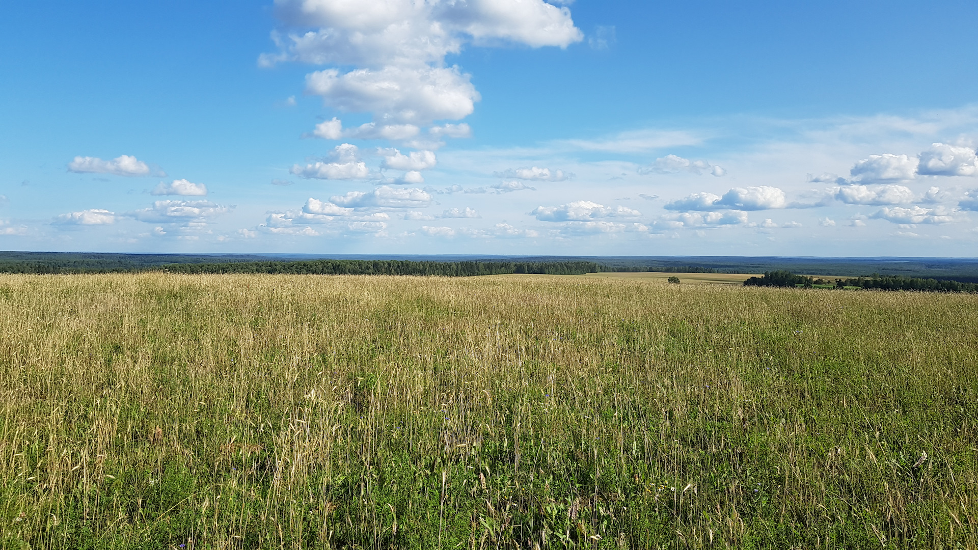 Городище земельные участки. Заборье Удмуртия деревня. Географический центр Удмуртии. Деревенские просторы Реткино. Деревенские просторы Рязань.