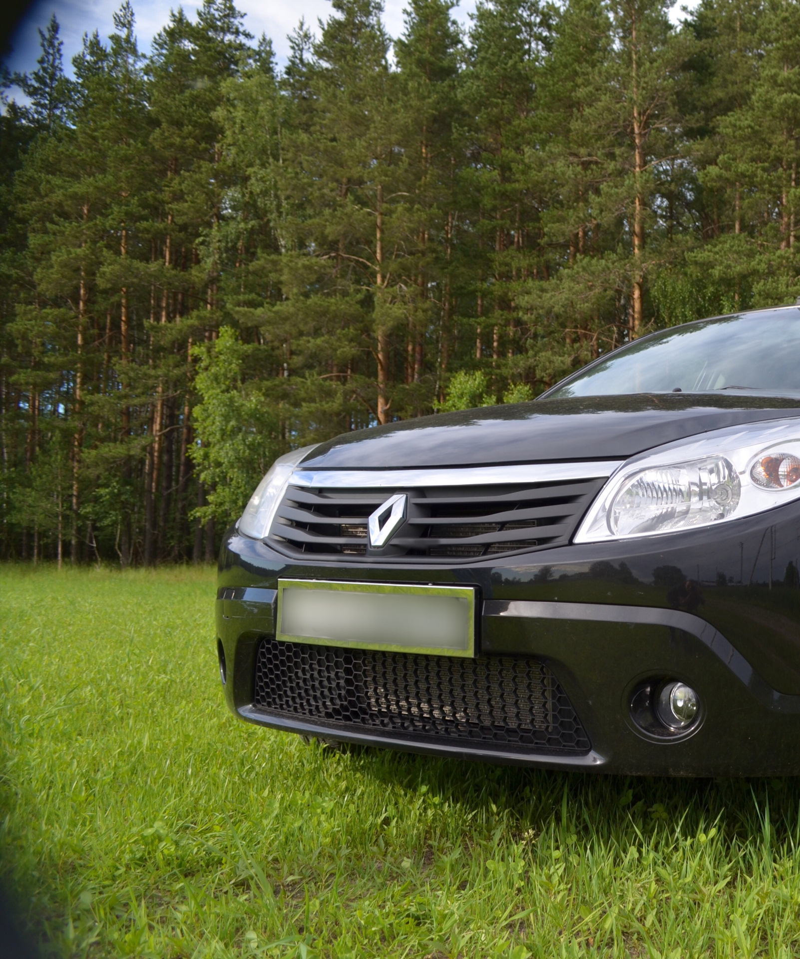 Решетка Радиатора Рено Сандеро 1 Купить