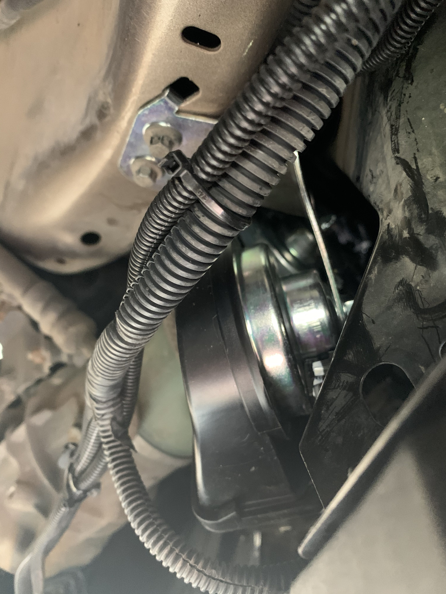 Сигнал xc90. Реле сигнала вольво xc90. Сигнал xc90. Гудок volvo xc90. Звуковой сигнал xc90.