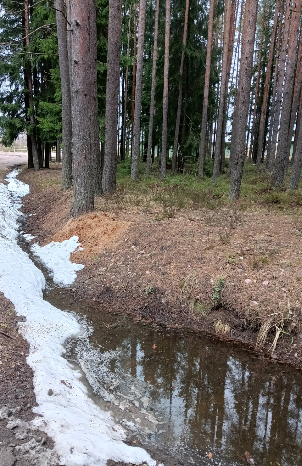 Фото в бортжурнале Ford Focus Hatchback II