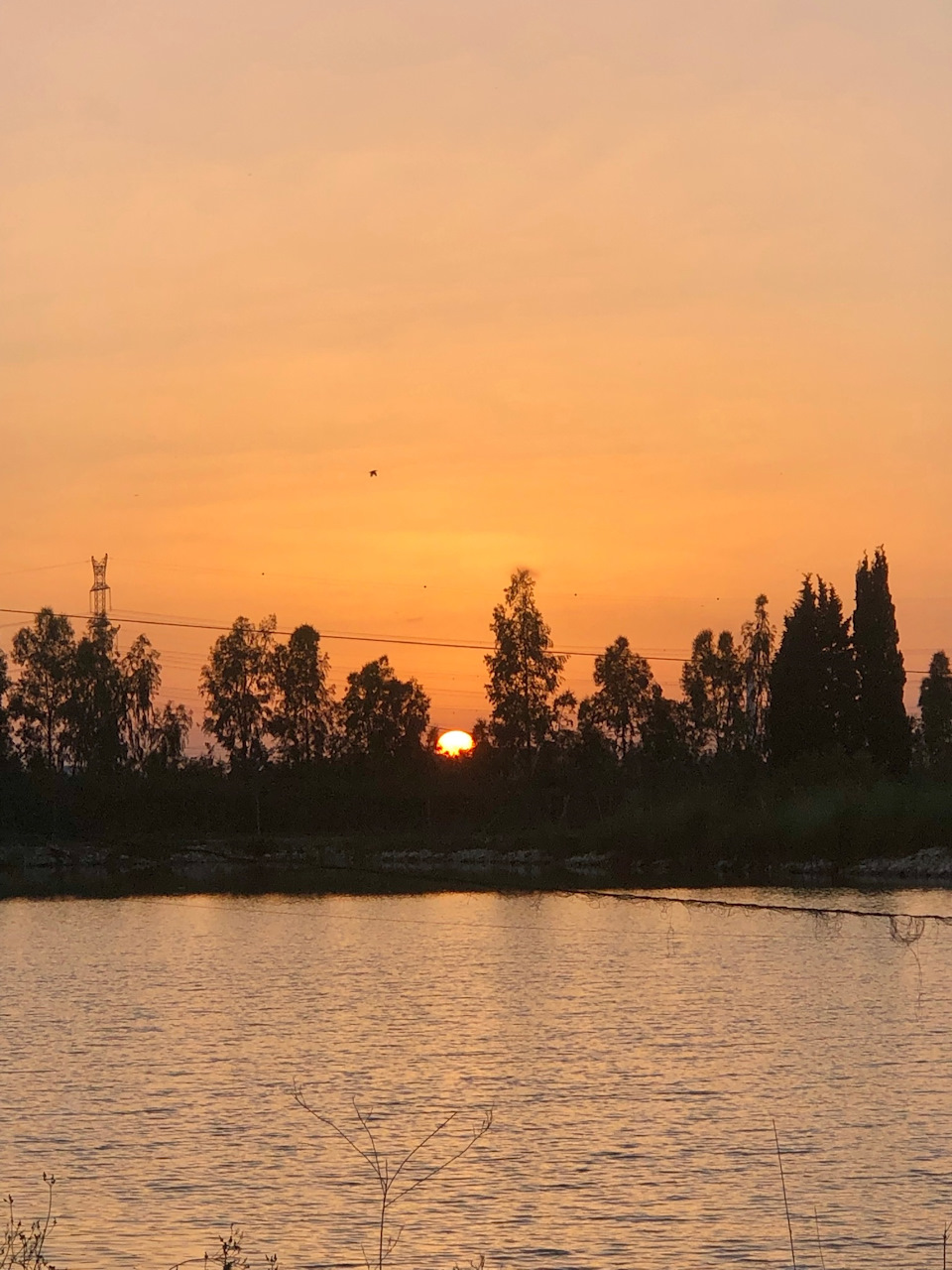 Фото в бортжурнале Suzuki Jimny (1G)