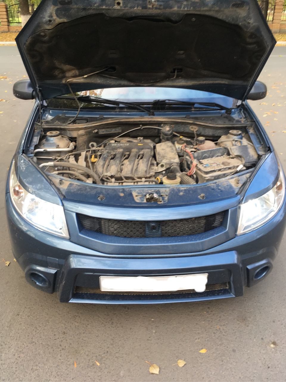 Опорники — Renault Sandero 1G, 1,6 л, 2011 года | запчасти | DRIVE2