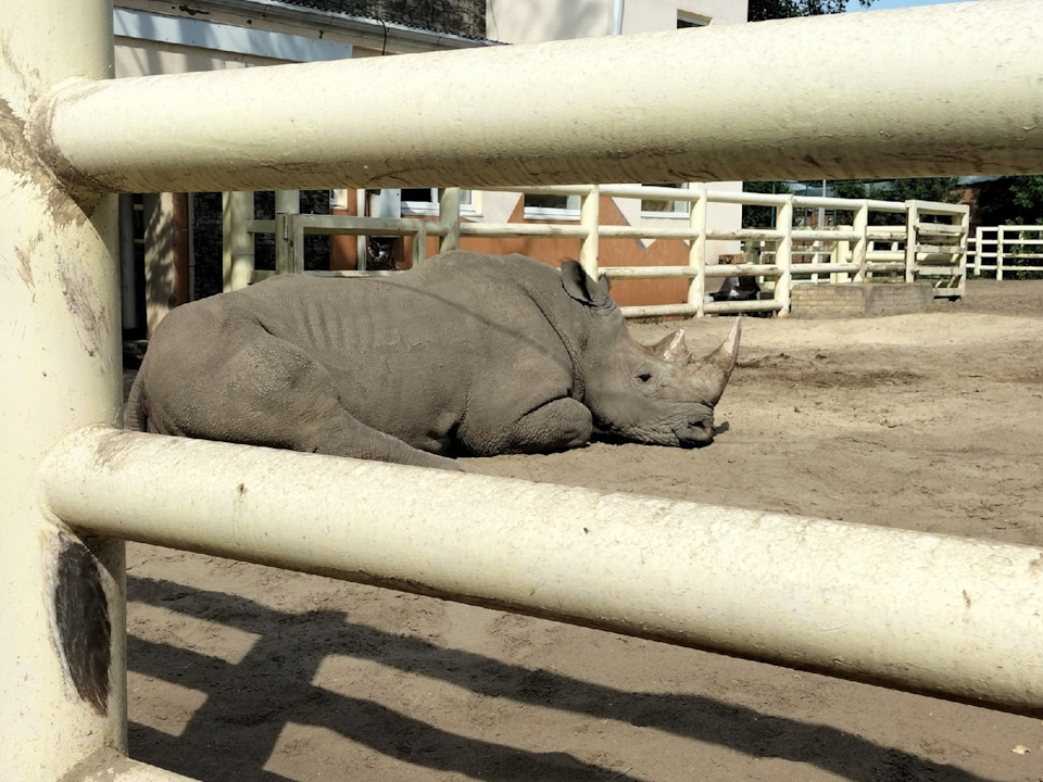 Фото в бортжурнале KIA Ceed SW (3G)