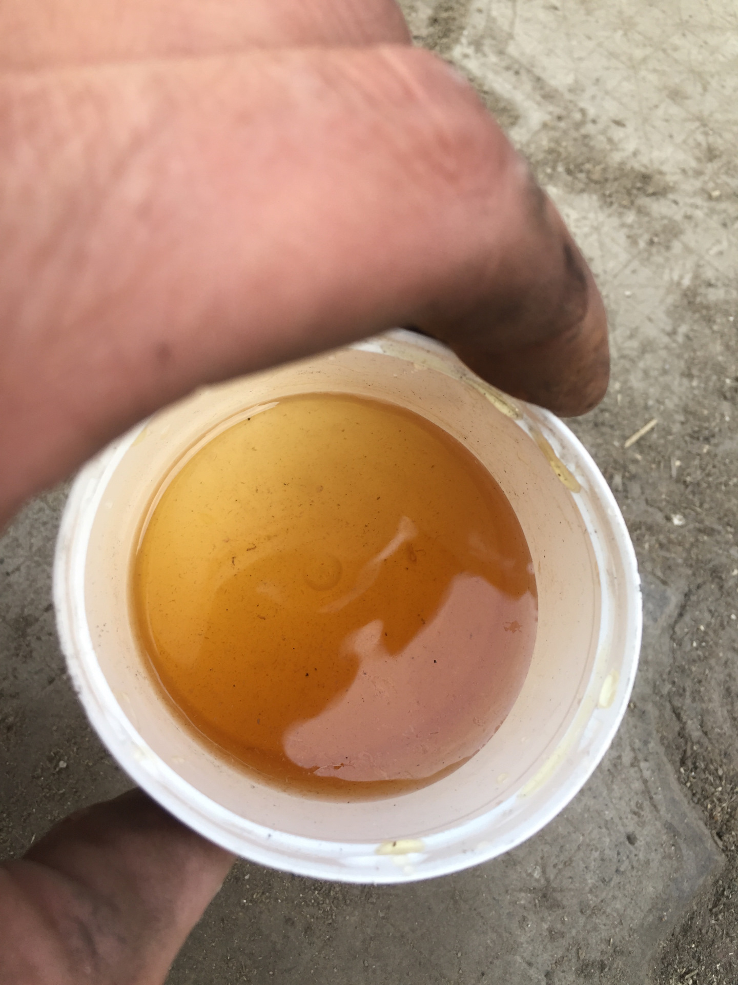 Масло помойка — Toyota Altezza, 2 л, 1999 года | другое | DRIVE2