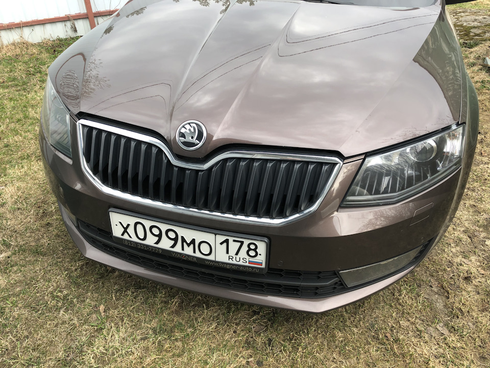 2. Немного Black пакета никому не повредит — Skoda Octavia A7 Mk3, 1,8 ...