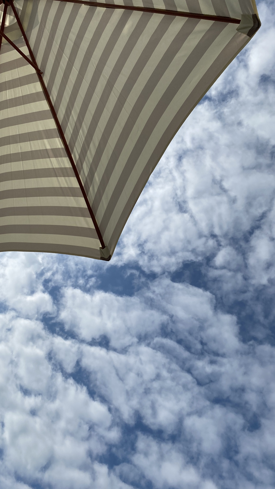 Фото в бортжурнале Nissan X-Trail III (t32)