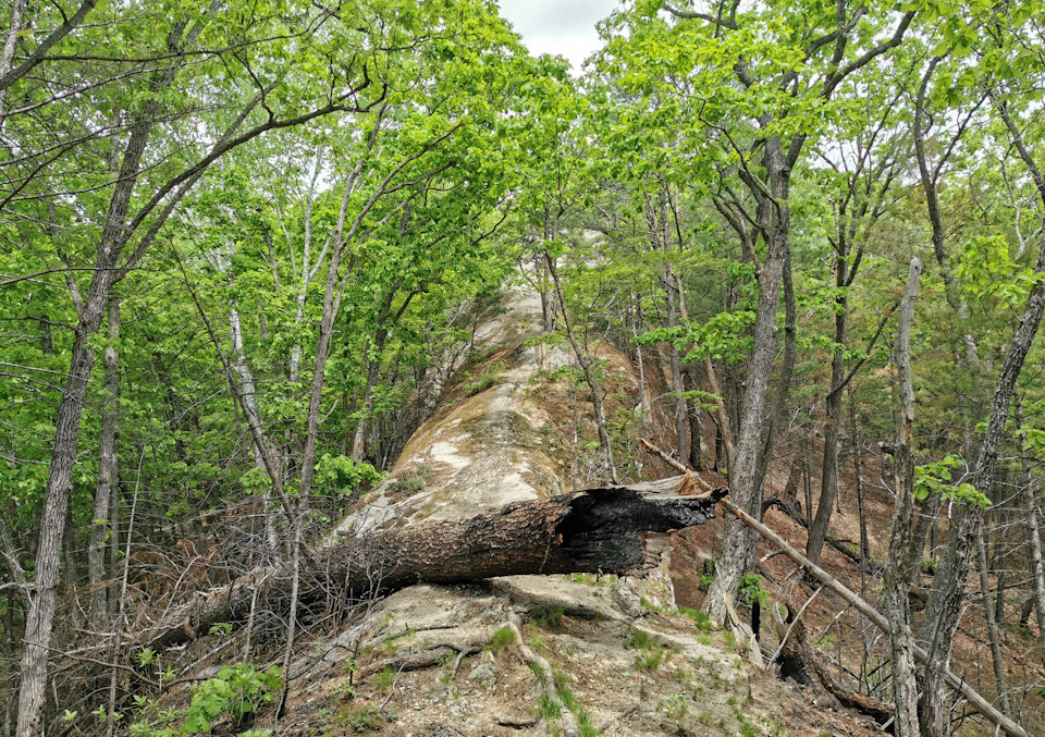 Фото в бортжурнале Toyota Land Cruiser Prado 70-series