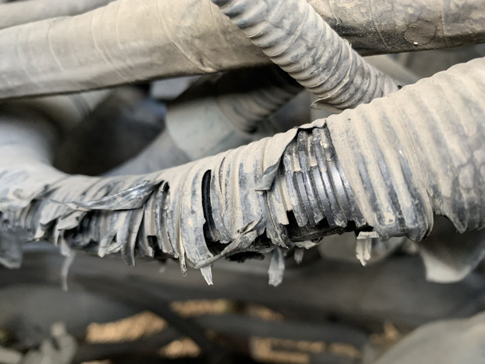 Гофра над коллекторном! — Honda Accord (7G), 2,4 л, 2006 года ...