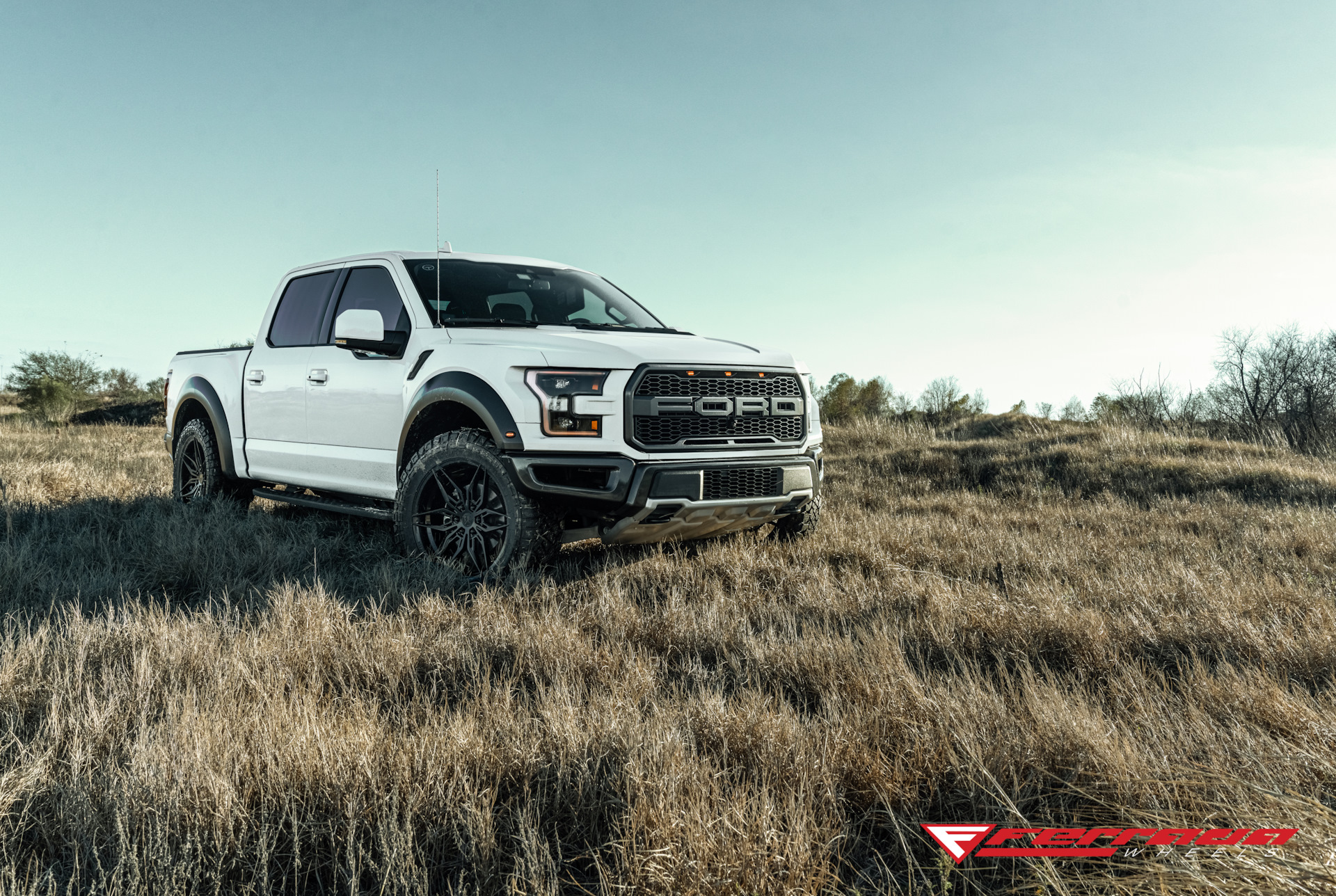 Iiif150 raptor. Ford Raptor ft. Форд Раптор 2022. Ford f 150 Raptor 2004. Форд Раптор 2022 белый.