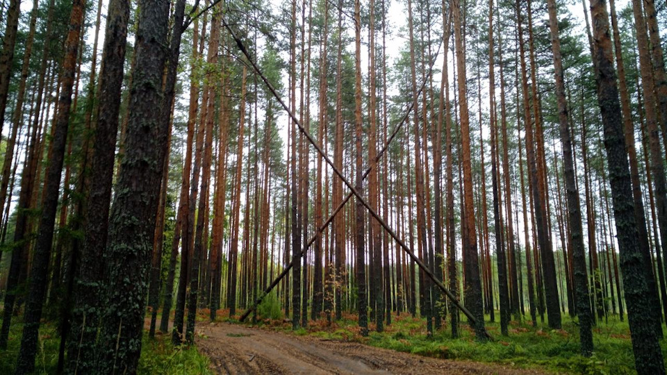 Фото в бортжурнале УАЗ Patriot