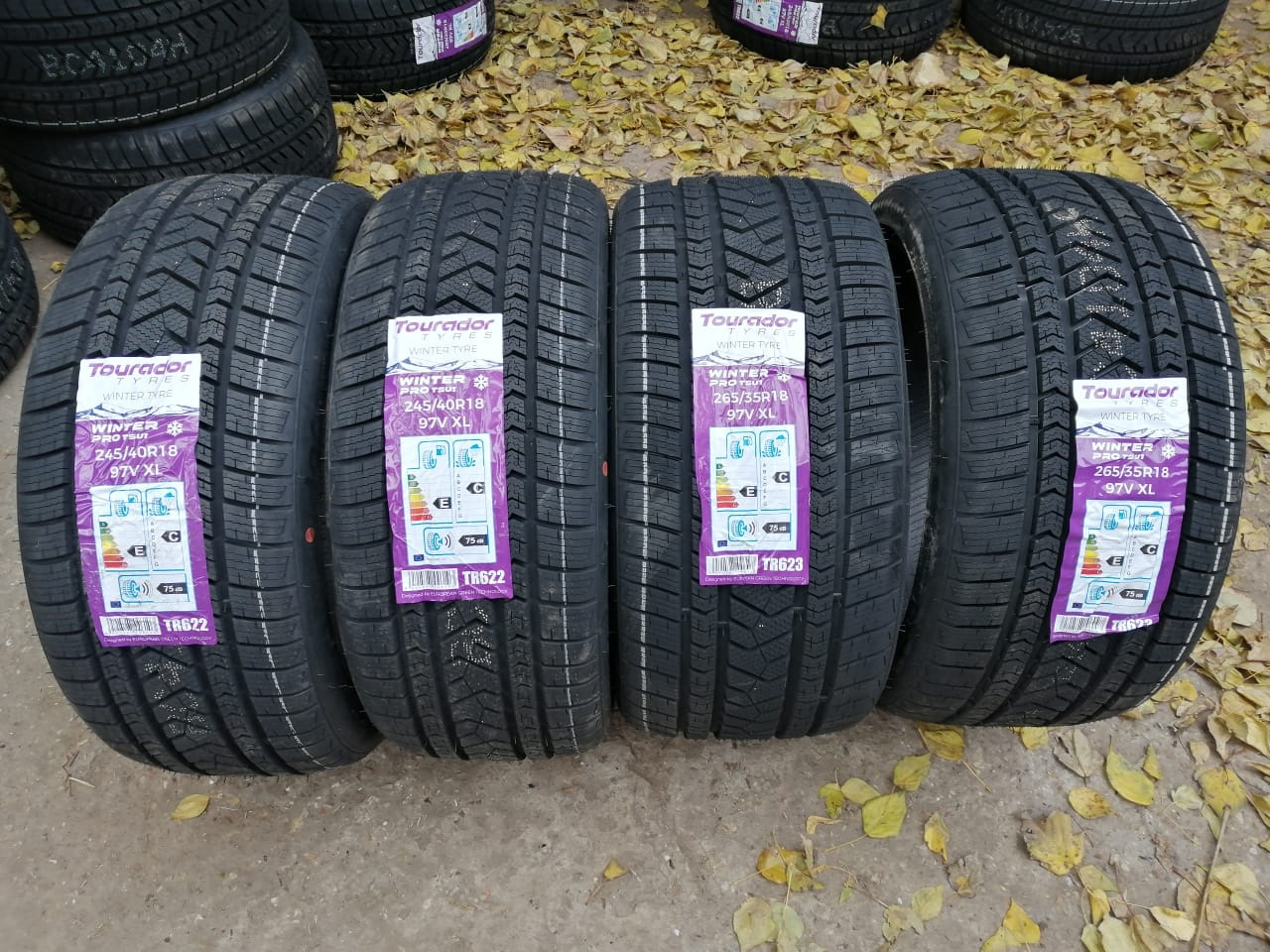 Tourador winter pro отзывы. Шины TOURADOR Winter Pro tsu1. 265/35r18 TOURADOR Winter Pro tsu1 97v. TOURADOR 245/45 r19 102v Winter Pro tsu1 XL. 245/40/18 TOURADOR Winter Pro tsu1.