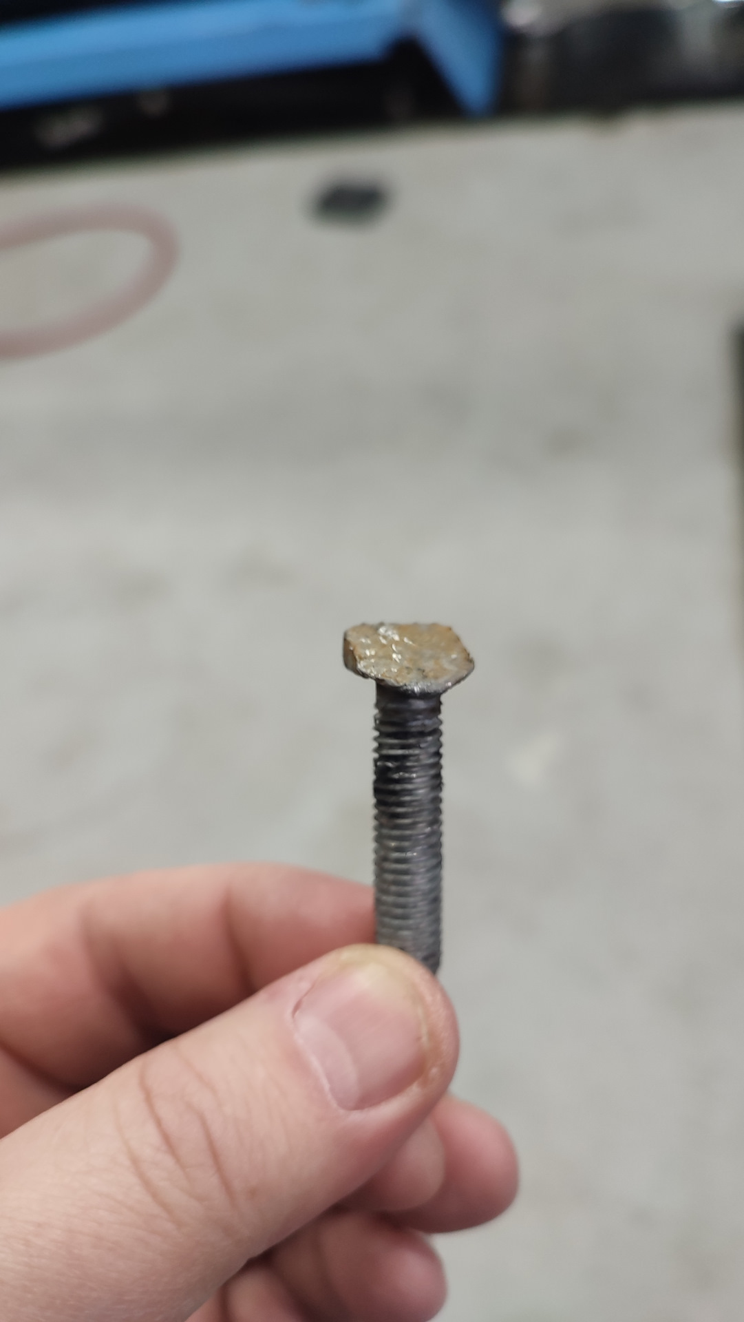 Дела шинные🤧. Болт в Новый Год 😁 — Skoda Octavia A5 Mk2, 1,8 л, 2010 ...