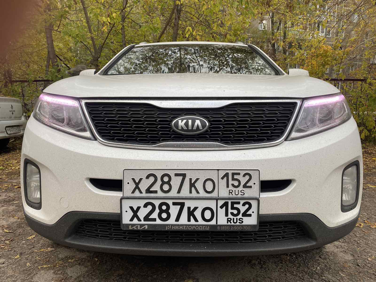 5️⃣Жирные ГОС.НОМЕРА — KIA Sorento (2G), 2,2 л, 2015 года | просто так |  DRIVE2