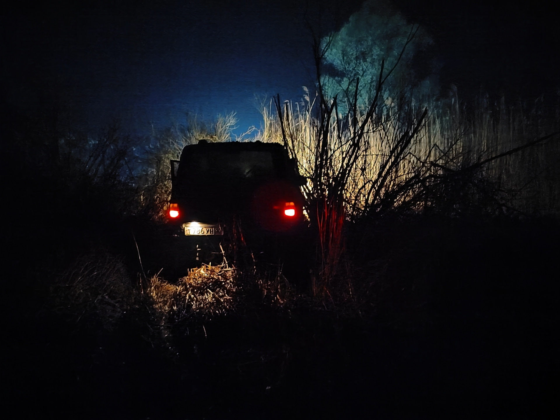 Ночной выезд. Машина выезжающая из ночного леса.