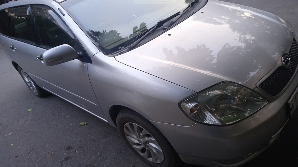 Toyota Corolla Fielder бежевый диван