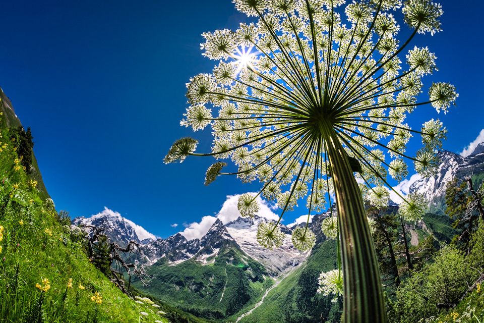 Фото в бортжурнале Renault Kaptur (2020)