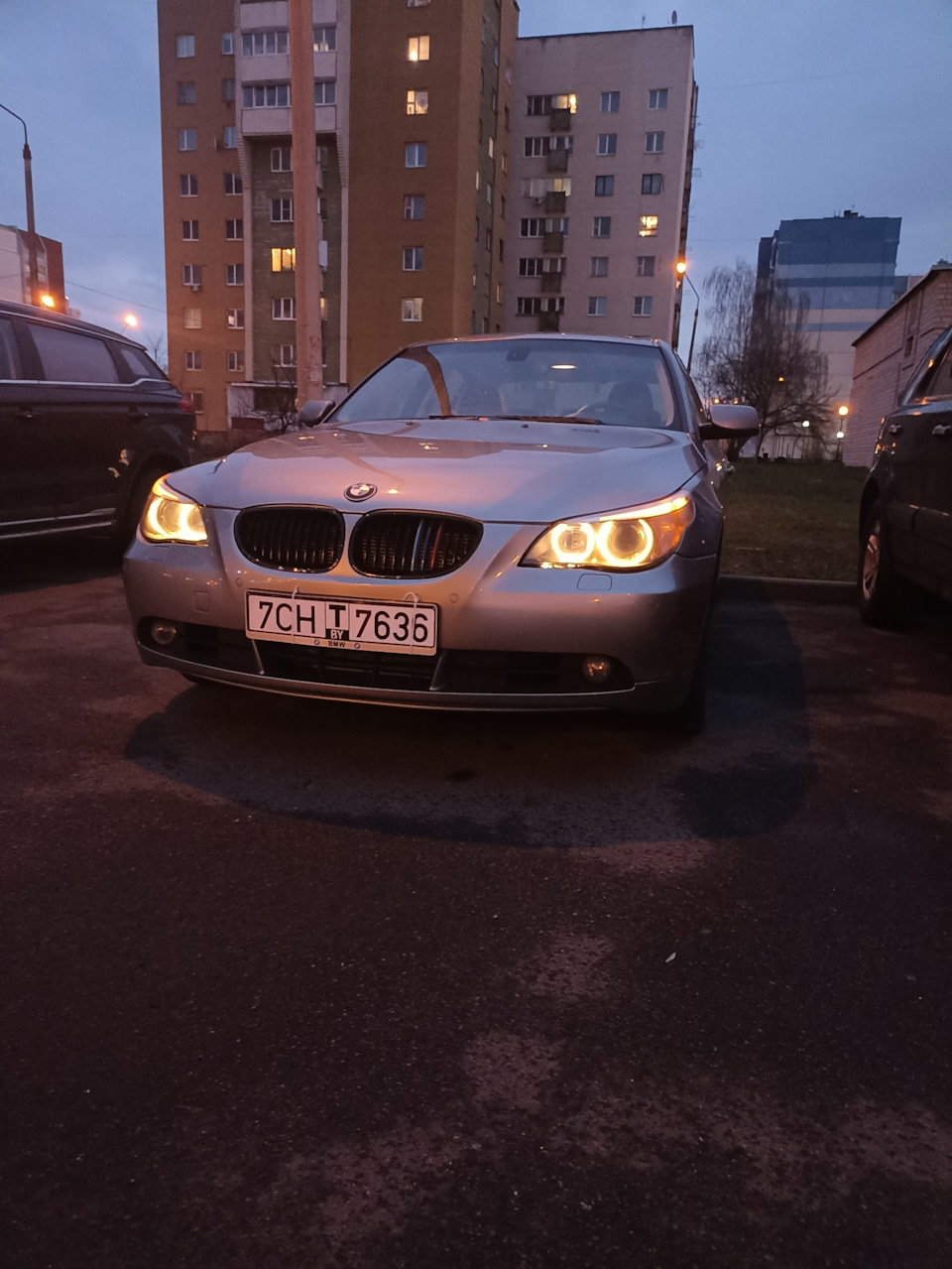 Покупка авто — BMW 5 series (E60), 2,5 л, 2006 года | покупка машины |  DRIVE2