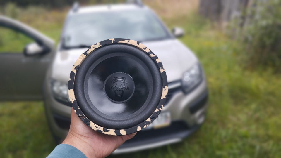 . — Renault Sandero Stepway (2G)