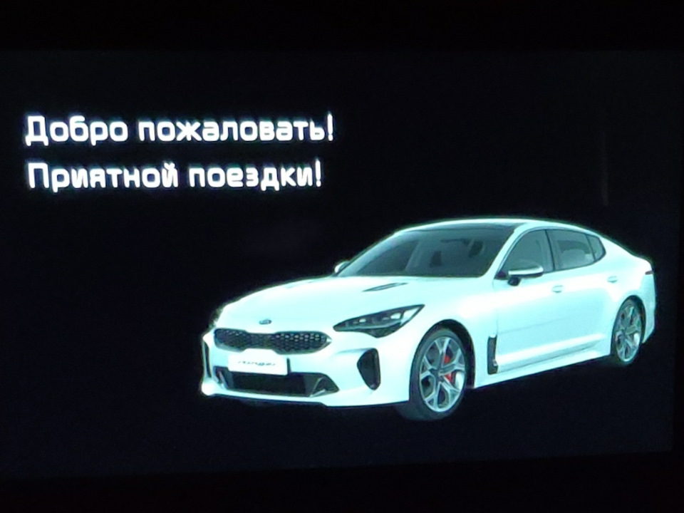 ЯНавигатор и Ютуб в Стингер — KIA Stinger, 2 л, 2019 года | автозвук ...